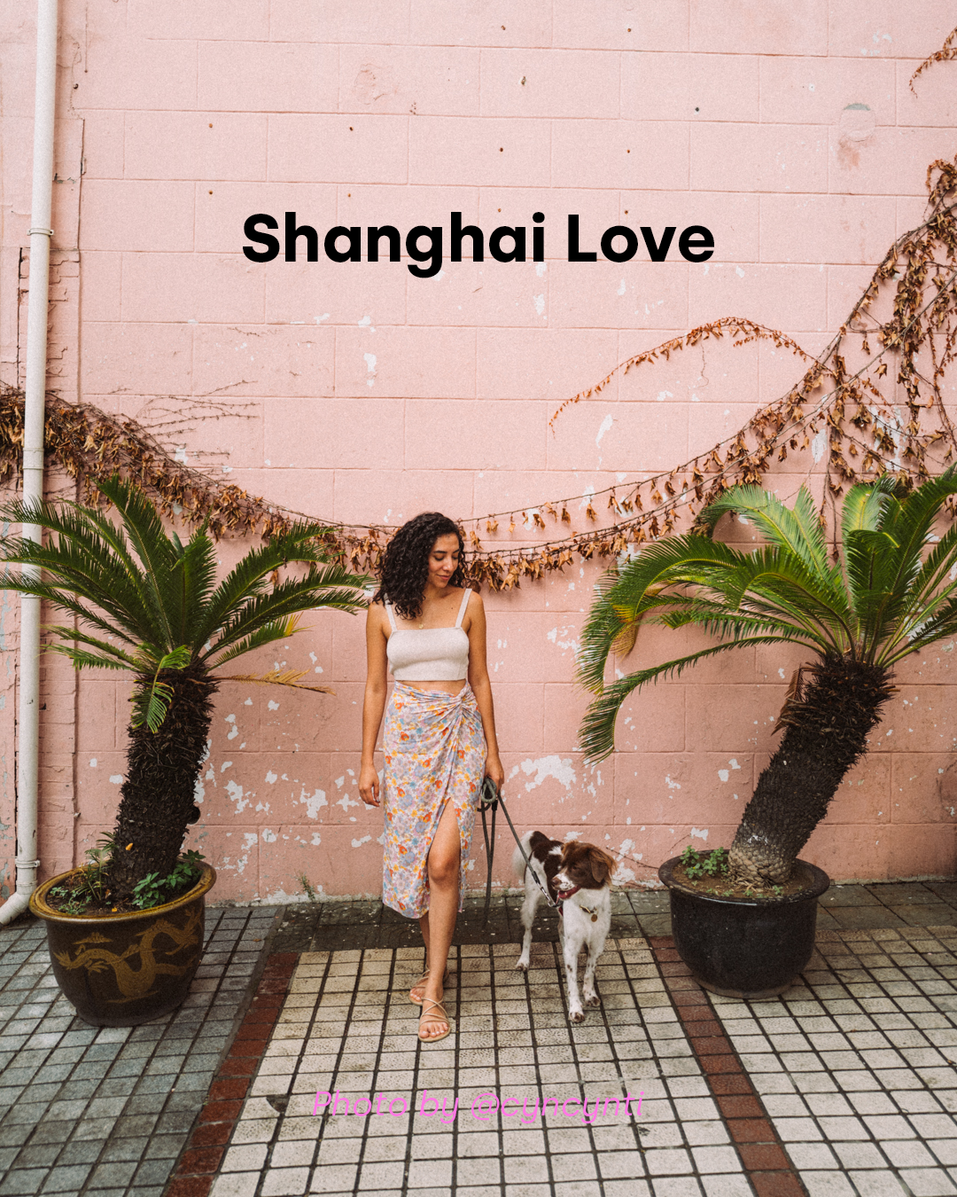 Shanghai Photo & Travel Spots