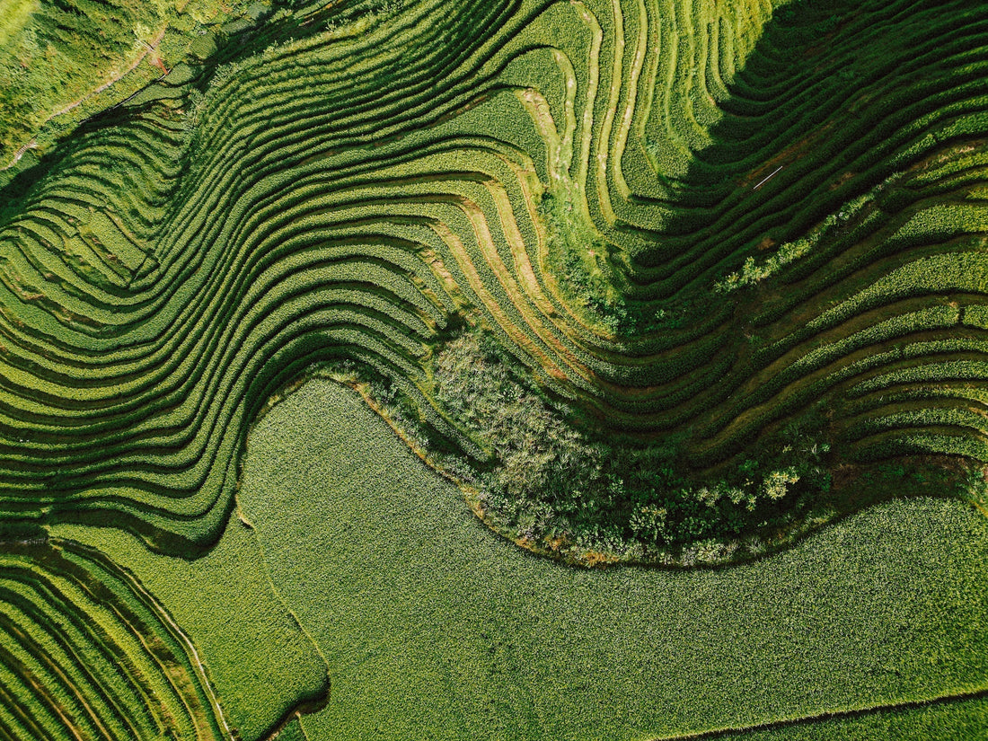 From Longji Rice Terraces to Yangshuo: My 3-Day Guilin Itinerary