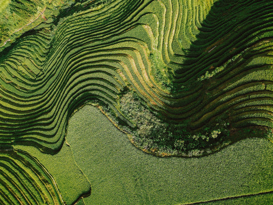 From Longji Rice Terraces to Yangshuo: My 3-Day Guilin Itinerary
